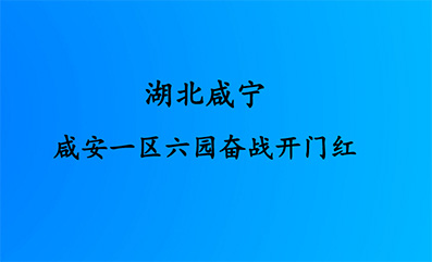 ̰̌һ^(q)@^(zhn)_Tt 
