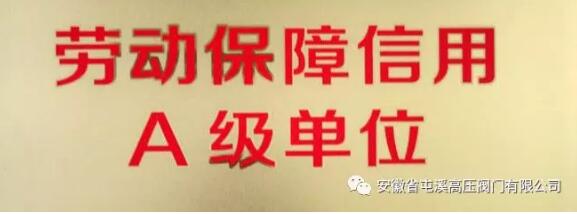 屯溪高壓閥門:榮獲“2019年勞動保障書面審查A級單位” 屯溪高壓閥門:榮獲“2019年勞動保障書面審查A級單位”