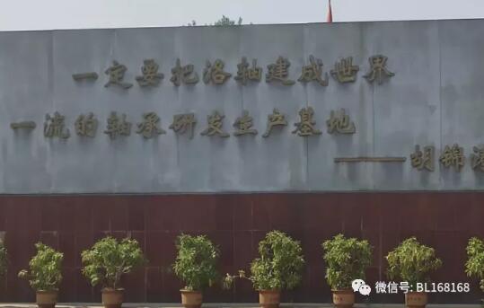 河北軸研院到洛陽LYC軸承有限公司投石問路 河北軸研院到洛陽LYC軸承有限公司投石問路