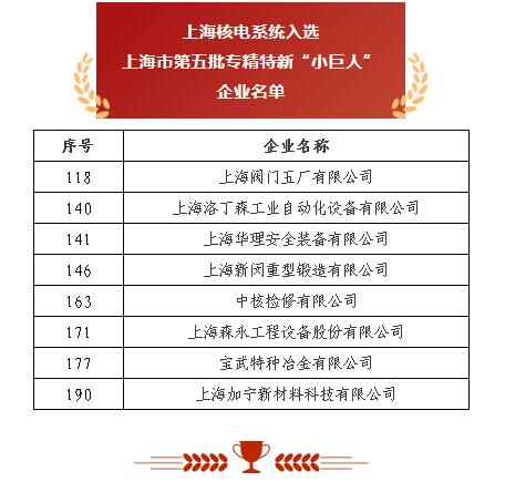 上海閥門五廠入選工信部第五批國家級專精特新“小巨人”企業(yè) 上海閥門五廠入選工信部第五批國家級專精特新“小巨人”企業(yè)