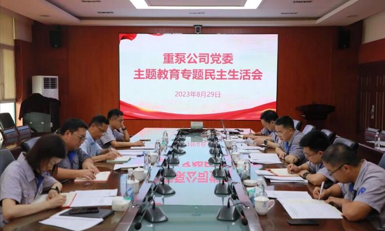 重慶水泵公司黨委召開主題教育專題民主生活會 重慶水泵公司黨委召開主題教育專題民主生活會