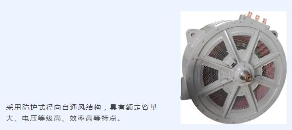 主發(fā)電機 主發(fā)電機