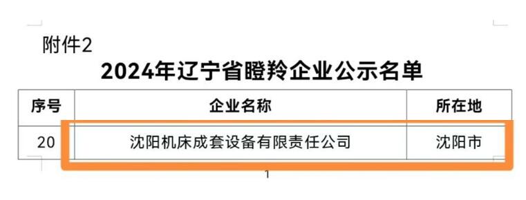 沈陽機(jī)床股份有限公司成套設(shè)備獲評2024年遼寧省瞪羚企業(yè)稱號 沈陽機(jī)床股份有限公司成套設(shè)備獲評2024年遼寧省瞪羚企業(yè)稱號