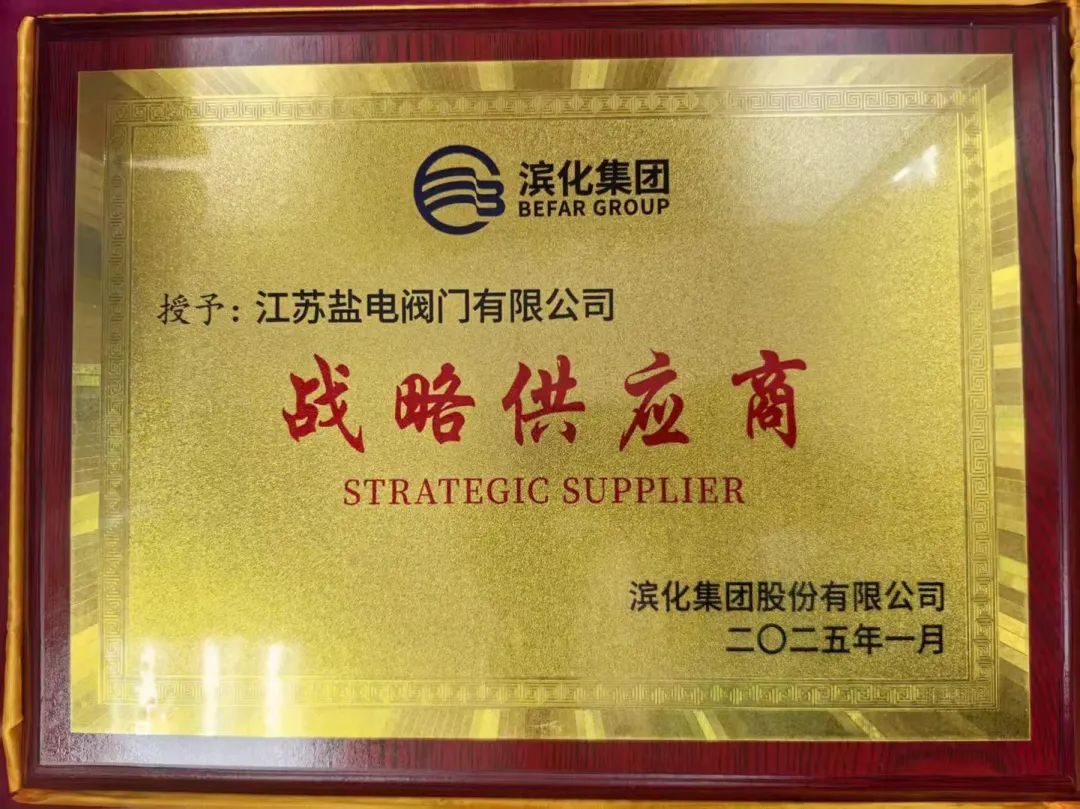 鹽電閥門榮獲濱化集團“戰(zhàn)略供應商”榮譽稱號 鹽電閥門榮獲濱化集團“戰(zhàn)略供應商”榮譽稱號